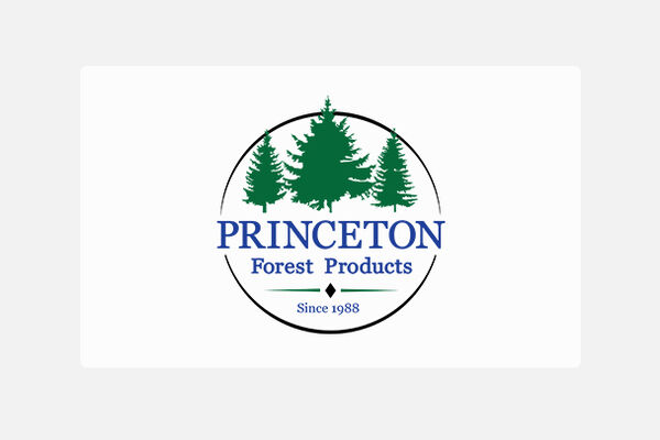 Products princeton logo
