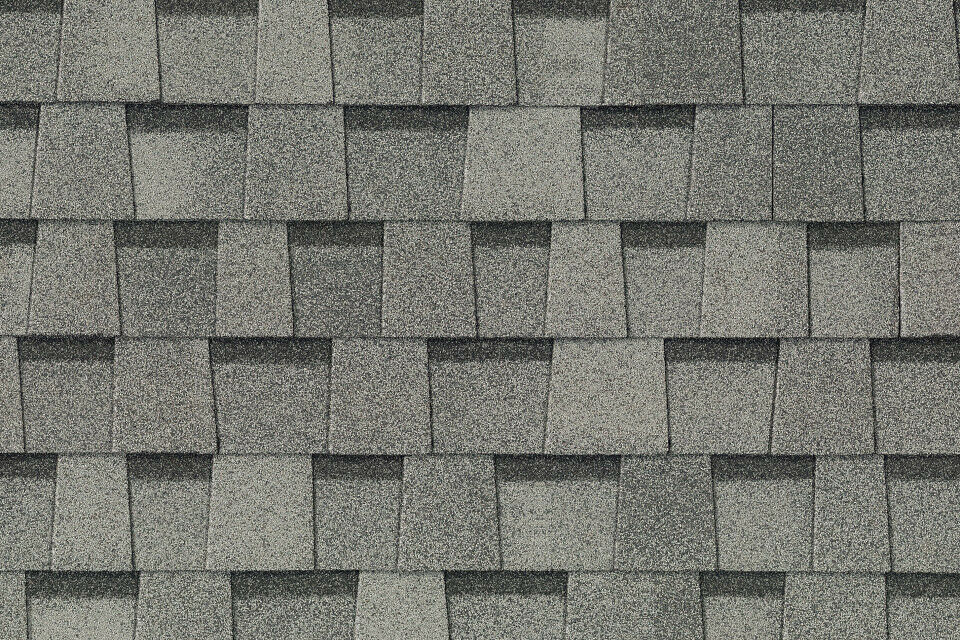 Landmarkpro mdbirch swatch