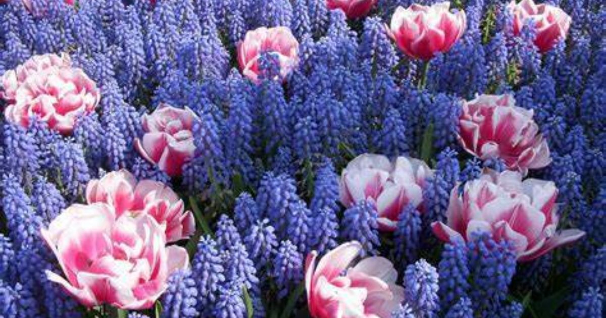 Lumber Market Update May Shepley Wood Products Cape Cod Ma